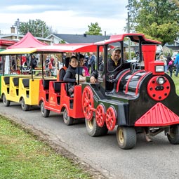 Petit train