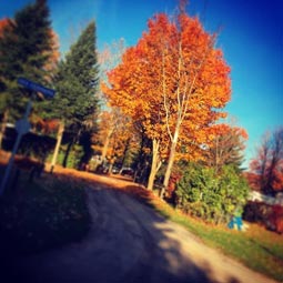 Automne